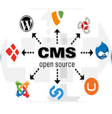customized Design and development